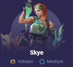 כרטיס סוכן Skye