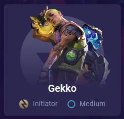 Obrázek profilu valorantu Gekko