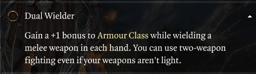 dual wielder description