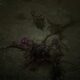 diablo 4 malignant hearts splash