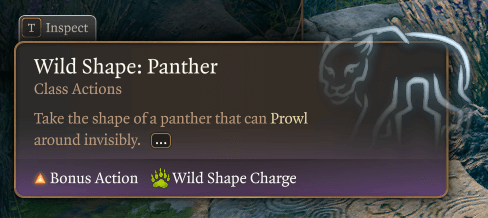 wild shape panther