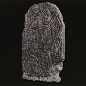 Fingerprint Stone Shield