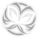 Enhanced Skill - Fyrefly Type-IV Deathstar Overload