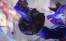Yunara Base Splash Crop