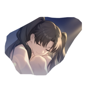 Rin Tohsaka HSR Eidolons